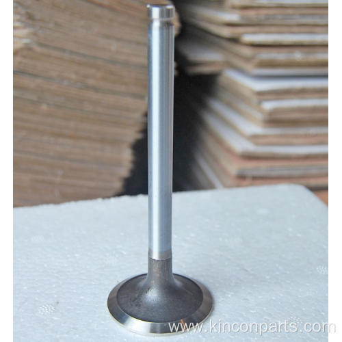 Engine Valves TPK-100